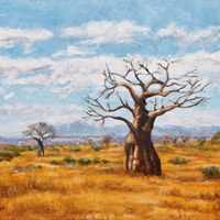 Baobab Trees Soutpansberg Limpopo – Oil Painting – South Africa Art Gallery